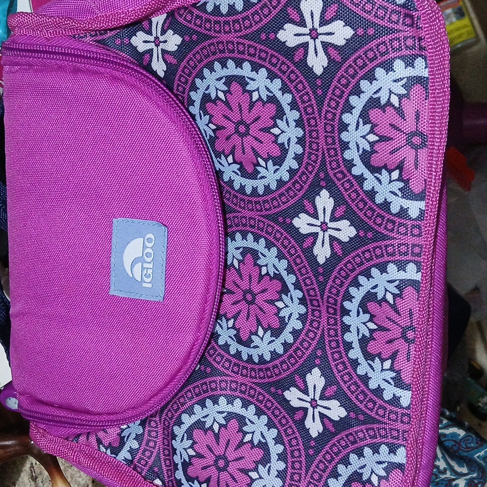 Igloo Insulated Lunch Bag